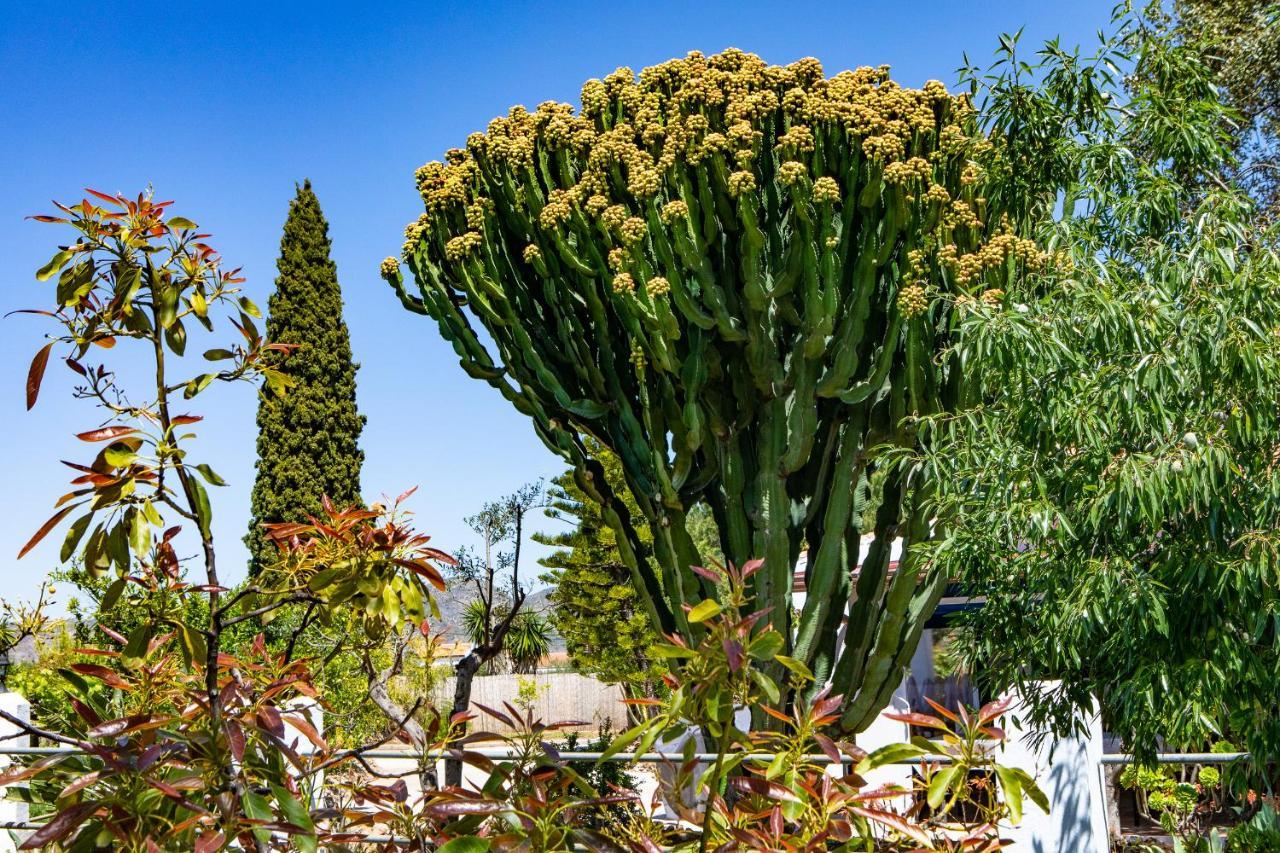 The Palms Boutique Resort Malaga - Adults Only Альхаурин-де-ла-Торре Экстерьер фото